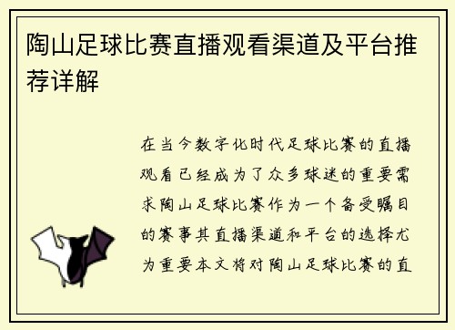 陶山足球比赛直播观看渠道及平台推荐详解